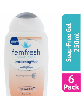 Femfresh Intimate Hygiene Triple Action Deodorising Wash 250ml - (Case Of 6)